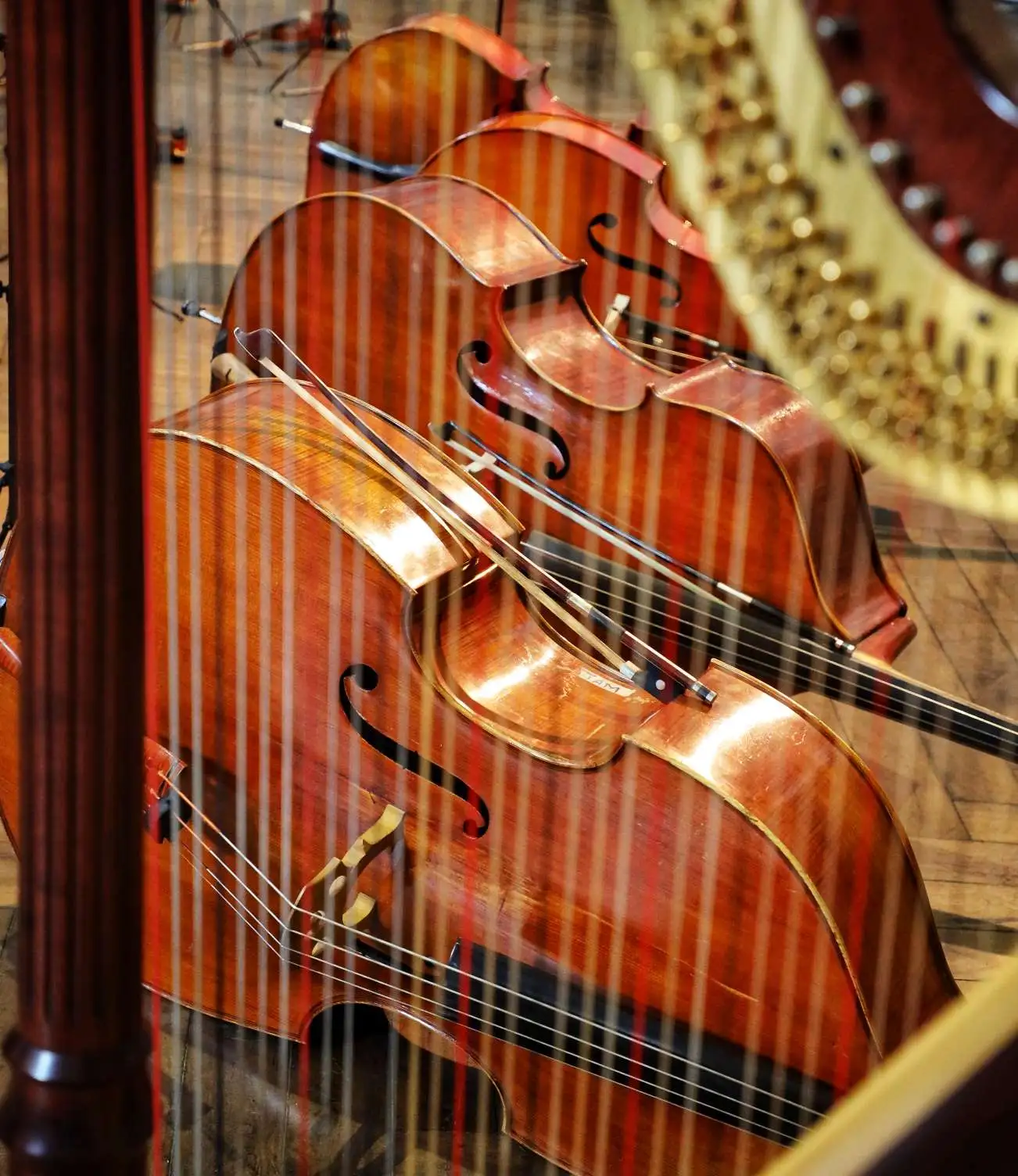 L'Orchestra Suzuki suona